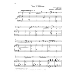To a Wild Rose